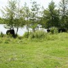 2014 Juli wandeltocht Thei Reinders