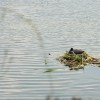2014 Juli wandeltocht Thei Reinders