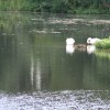 2014 Juli wandeltocht Thei Reinders