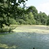 2014 Juli wandeltocht Thei Reinders