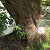 2014 Juli wandeltocht Thei Reinders
