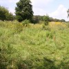 2014 Juli wandeltocht Thei Reinders