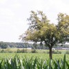 2014 Juli wandeltocht Thei Reinders