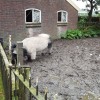 2017 dinsdag 19 september Een paar foto's van onze reis naar de Achterhoek