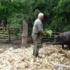 2019 woensdag 12 juni Bezoek Boswachterij de Kievit Beringe
