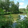 2019 woensdag 12 juni Bezoek Boswachterij de Kievit Beringe