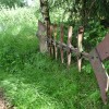 2019 woensdag 12 juni Bezoek Boswachterij de Kievit Beringe