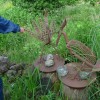 2019 woensdag 12 juni Bezoek Boswachterij de Kievit Beringe