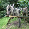 2019 woensdag 12 juni Bezoek Boswachterij de Kievit Beringe