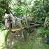 2019 woensdag 12 juni Bezoek Boswachterij de Kievit Beringe