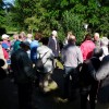 2019 woensdag 12 juni Bezoek Boswachterij de Kievit Beringe