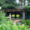 2019 woensdag 12 juni Bezoek Boswachterij de Kievit Beringe