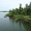 Uitstapje Biesbosch en kermismuseum Hilvarenbeek