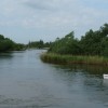 Uitstapje Biesbosch en kermismuseum Hilvarenbeek
