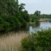 Uitstapje Biesbosch en kermismuseum Hilvarenbeek