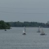 Uitstapje Biesbosch en kermismuseum Hilvarenbeek