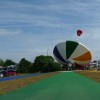 Uitstapje Biesbosch en kermismuseum Hilvarenbeek