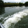 Uitstapje Biesbosch en kermismuseum Hilvarenbeek