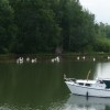 Uitstapje Biesbosch en kermismuseum Hilvarenbeek