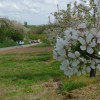 Excursie Tongeren
