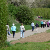 Excursie Tongeren